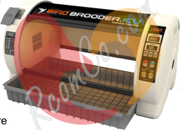 rcom-bird-brooder-icu-large