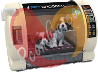 rcom-pet-brooder-icu-dogs